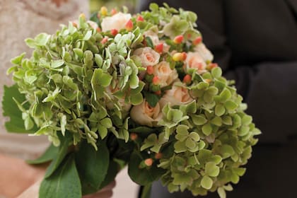 Las rosas y las hortensias se llevan muy bien