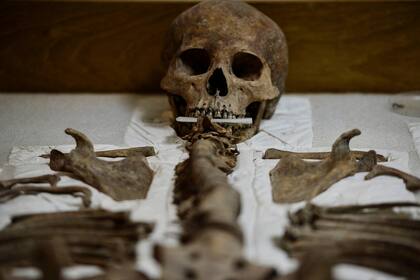 Los restos de un chamán maya se ven en las Ruinas de Copán