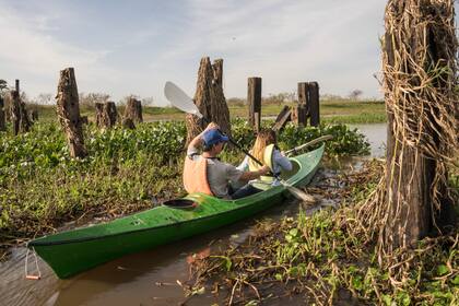 Las ruinas de un antiguo puente de La Forestal atraviesan parte del río Parana Miní, que se puede recorrer en kayak o lancha.