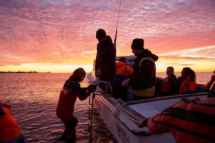 Las salidas para ver lobitos son al amanecer; se puede usar traje seco para no mojarse en esta época invernal