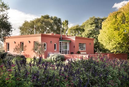 Las salvias de los canteros de Mercedes, en permanente evolución.