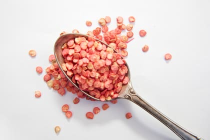 Las semillas de ají necesitan un almácigo liviano y temperatura cálida