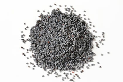 Las semillas de amapola son ricas en ácidos grasos esenciales, fibra y minerales en especial calcio, hierro y manganeso