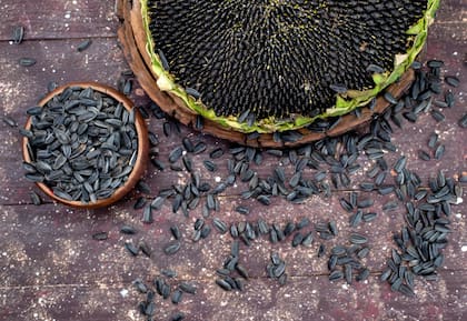 De acuerdo con el argumento, en los últimos 25 años la República Argentina ha sido epicentro de una verdadera revolución agrícola