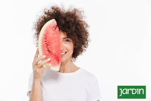 El lenguaje de las frutas avisa cuáles semillas se comen y cuáles conviene evitar