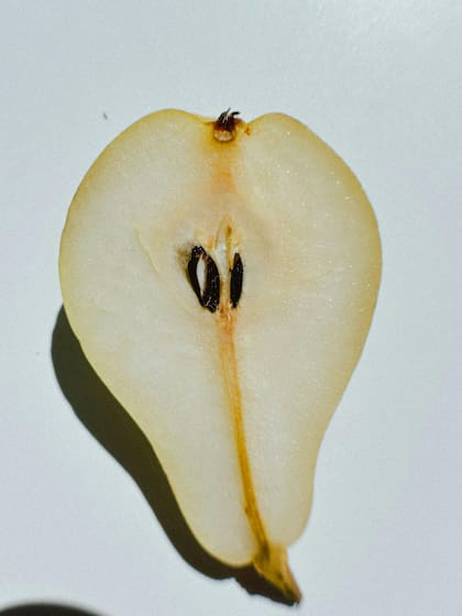 Las semillas de pera, al igual que las de manzana, contienen trazas de compuestos cianogénicos que pueden ser tóxicos en dosis elevadas