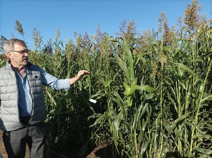 Las semillas de su empresa llegan a Uruguay, Paraguay, Bolivia, Marruecos y, hace semillas en contra estación que mandan a Texas, Estados Unidos