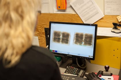 Las semillas pasan por estrictos controles de seguridad.