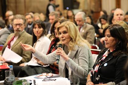 Las senadoras más duras contra el aborto legal, Elías de Pérez y Brizuela y Doria tuvieron asistencia perfecta al plenario de comisiones