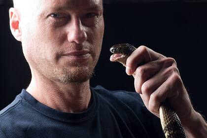 Las serpientes son temidas, pero también reverenciadas en muchas culturas