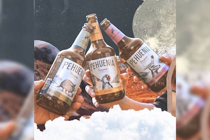 Las sidras Pehuenias rescatan el tradicional sabor de la bebida con la intensidad y excelencia de la marca (Foto Instagram @sidraspehuenia)