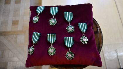 Las siete insignias de caballero de la Orden de las Artes y las Letras