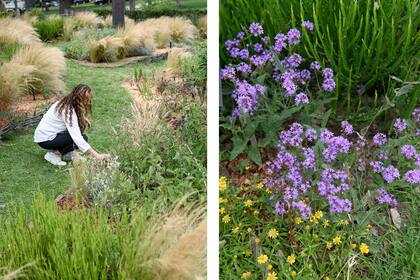 Las tareas de mantenimiento se realizan entre los voluntarios, en turnos rotativos