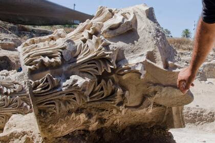 Las tareas de restauración y búsqueda están a cargo de la Autoridad de Parques y Naturaleza, el municipio de Ashkelon y la Fundación Leon Levy
