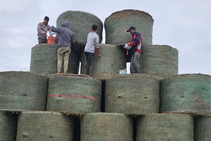 Las tareas para la figura que hizo la familia Michelotti