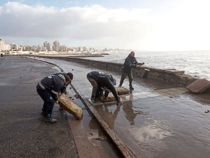 Las tareas para reparar el paseo ya se habían puesto en marcha