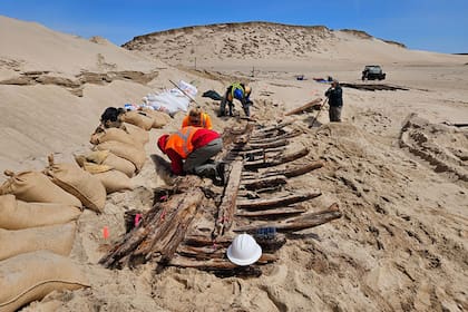 Las tareas se desarrollaron en dos campañas, en 2024 y 2025
