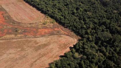 Las tasas de deforestación en Brasil se dispararon durante el gobierno de Bolsonaro