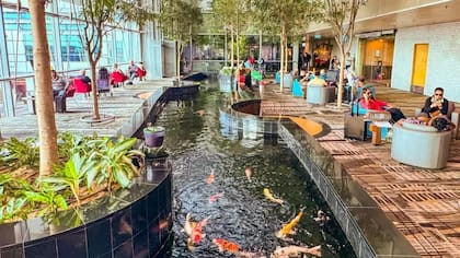 Las terminales del aeropuerto de Changi fueron diseñadas teniendo en cuenta formas de reducir el estrés