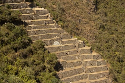 Las terrazas decoradas con llamas, símbolo de Choquequirao. Foto: Luis Agote