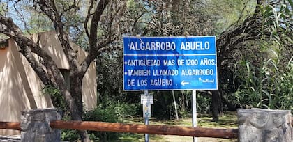 Las tierras de los Agüero donde crece el gran algarrobo.