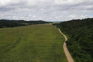 Las tierras del hijo de Luis Arce