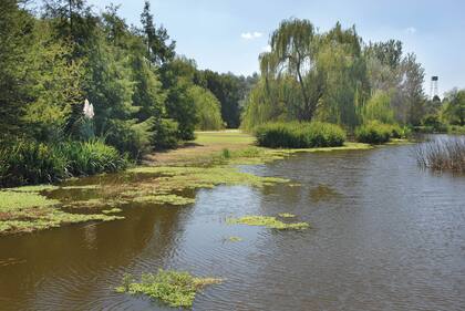 Las tierras húmedas se generan en zonas bajas de terrenos con mal drenaje, en las costas de espejos o cursos de agua o cuando las napas están muy altas.