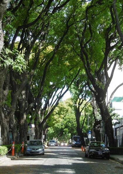 Las tipas de Olleros y Villanueva, en su esplendor