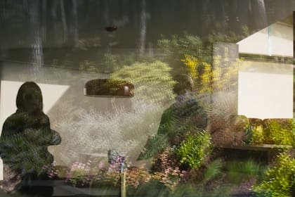 Las tomas en las que el paisaje se refleja desde el interior de la casa son recurrentes en la película.