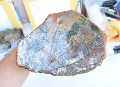 Las trompetas se fabricaron en Francia y Países Bajos, resultaron ser los únicos ejemplares en el mundo actual del siglo XVI