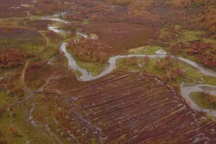 Las turberas son la clave ecológica