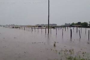 Las últimas lluvias hicieron estragos en el norte santafecino