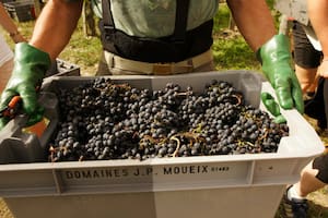 El concurso de acreedores de Bodega Norton dejó al descubierto una operación financiera que puso en jaque a pequeños productores