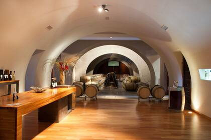 Las uvas van directo del viñedo a la bodega