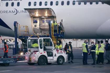 Las vacunas irán llegando al país y se informará cuando eso ocurra, aseguró Vizzotti