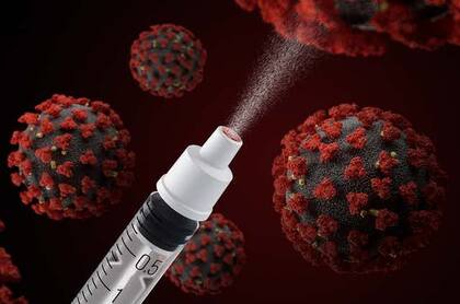 Las vacunas nasales parecen ser un nuevo paso en la lucha con el coronavirus