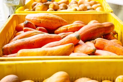 Las variedades de hortalizas son desarroladas genéticamente para el deshidratado.