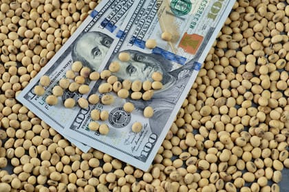 Las ventas adelantadas de soja están en el 10%, frente al 18% histórico 