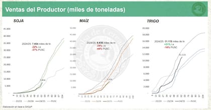 Las ventas de los productores del actual ciclo versus el anterior y el promedio de las últimas cinco campañas