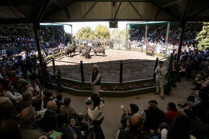 Las ventas fueron adjudicadas a 113 compradores