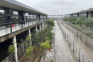 Escasa oferta en el Mercado Agroganadero de Cañuelas