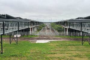 Oferta escasa en el Mercado Agroganadero de Cañuelas