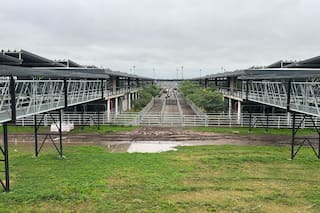 Oferta escasa en el Mercado Agroganadero de Cañuelas