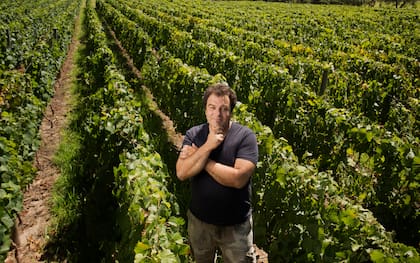 "Las verdades actuales no servirán en diez años", dice el winemaker argentino.