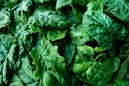 Las verduras de hoja verde tienen altas cantidades de vitamina K