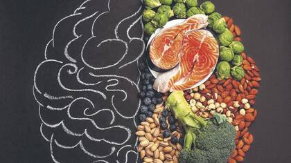 Las verduras o legumbres ayudan a potenciar funciones neuronales y funcionales
Foto: iStock