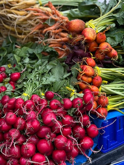 Las verduras son muy beneficiosas para la salud (Foto ilustrativa: PEXELS)