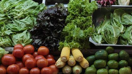 Es recomendable llevar una alimentación sana para desarrollar de mejor manera funciones cerebrales como la memoria