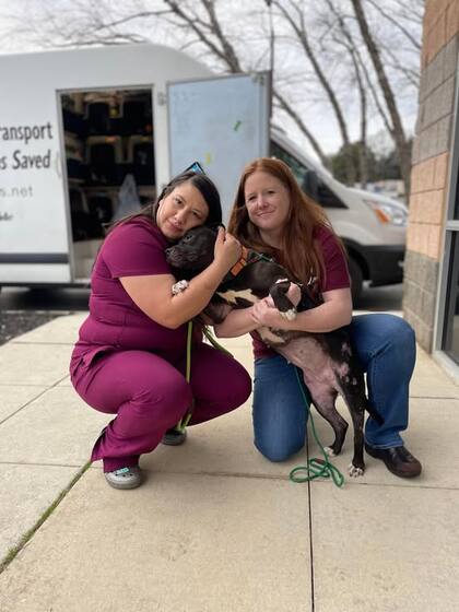 Las veterinarias que cuidaron a Tudy durante su recuperación.