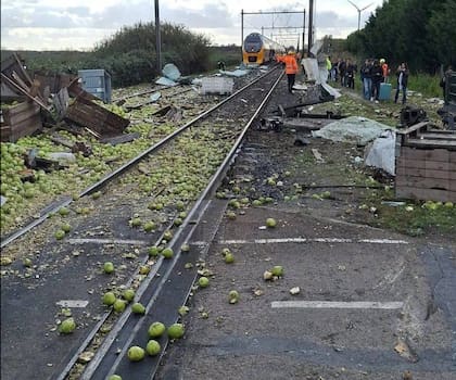 Las vías del tren llena de peras luego del accidente